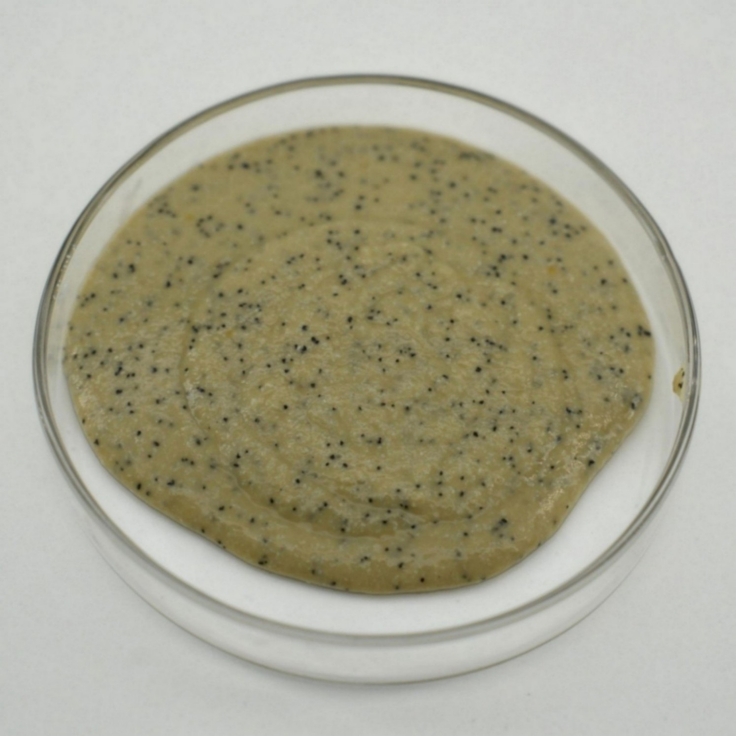 Piso de garaje epoxi beige