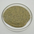 Piso de garaje epoxi beige