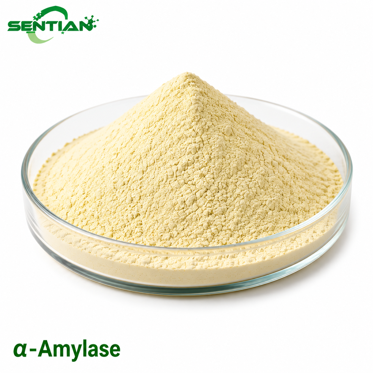 α-AMYLASE