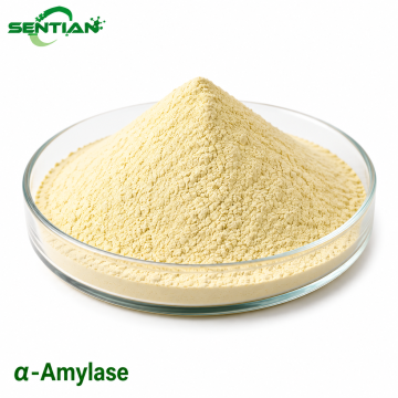 α-Amylase Enzyme for Starch Hydrolysis & Digestion
