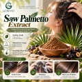 Extrato de Saw Palmetto com ácidos graxos e fitoesteróis