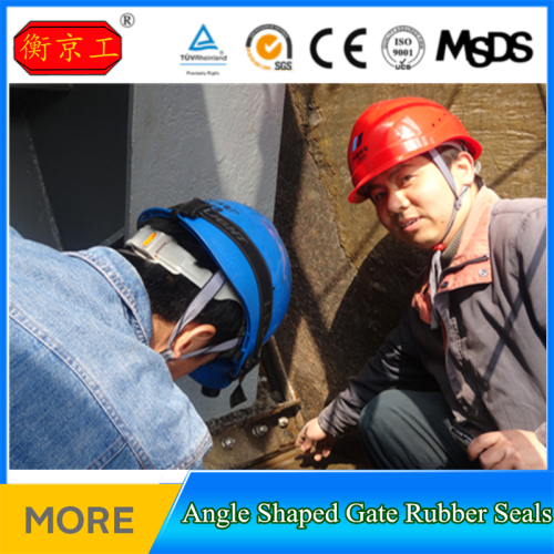 rubber sluice gate valve to win warm praise from all over the world