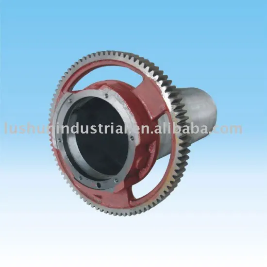 gearwheel and bearing
