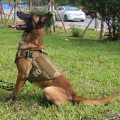 戦術的な犬ハーネスカスタム戦術犬ハーネス工場