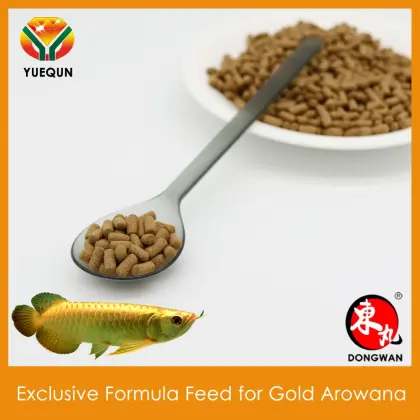 Feed Aquarium Fish Food Compound feed for Gold Arowana