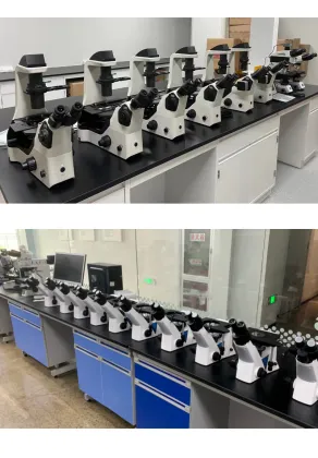 Industrial Binocular Stereo Microscope