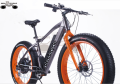 EBIKE कंपनी थोक गर्म बिक्री 500W वसा टायर इलेक्ट्रिक बाइक