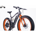 EBIKE COMPANY VENDA A GROSSO QUENTE BICICLETA ELÉTRICA DE PNEUS FAT 500W