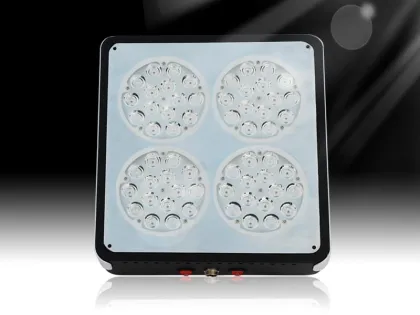 Apollo LED grow lights