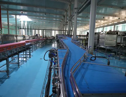 Fruit and vegetable enzyme pitaya enzyme production line