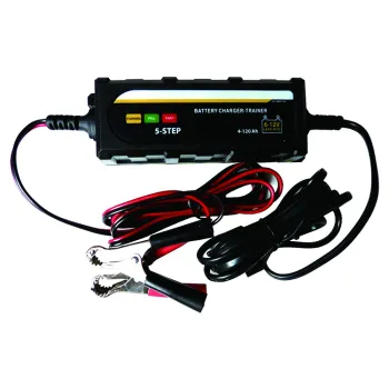 Professional Grade Affordable 12V Car Battery Chargers