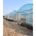 /msite/products/detail/productid/66586557/id/1577583.html