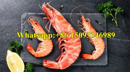 High Capacity Prawn Selection Classifier Machine
