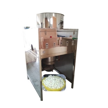 Commercial Garlic Cleaning and Peeling Machine