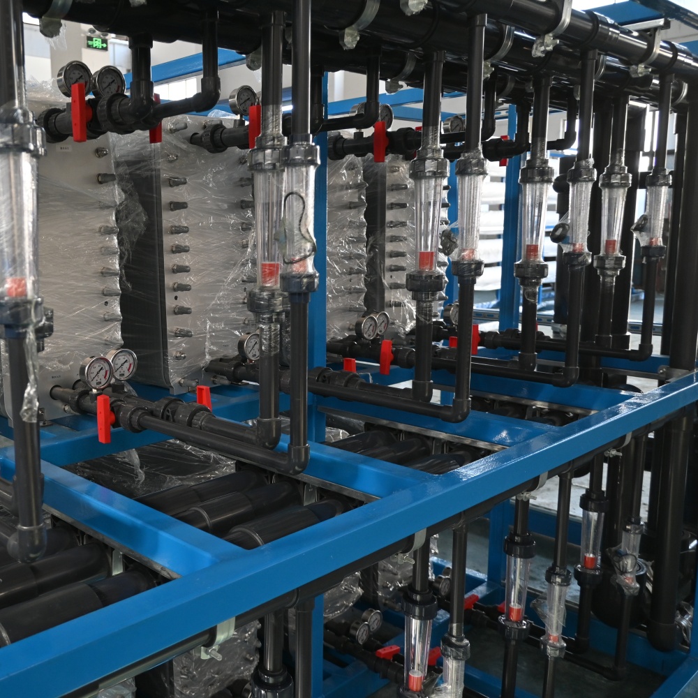 Electrodeionization System