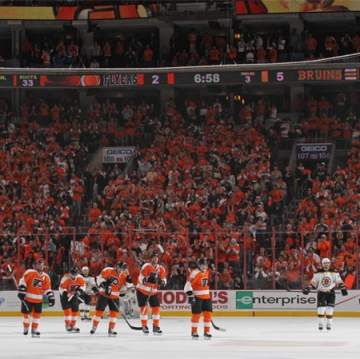 Professional Hockey Barrier Netting