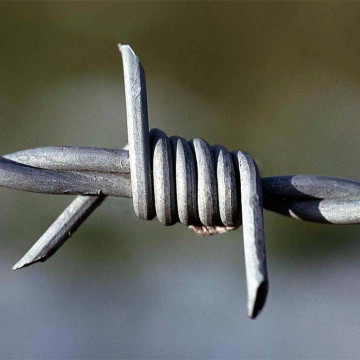 Galvanized Concertina Barbed Wire