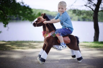 PonyCycle pony for hire how to buy a pony