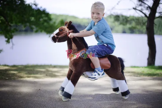 PonyCycle pony for hire how to buy a pony