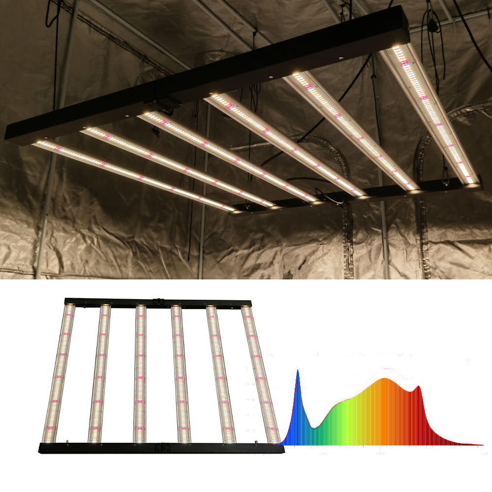 Indoor Plants Veg And Flower Full Spectrum Led Grow Lights 6 Bars 720W Greenhouse Grow Lights Led For Medical Plant (5)