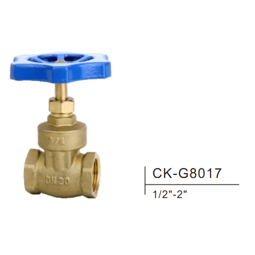 Valve de porte en laiton CK-G8017 1/2 "-2"