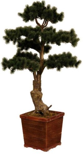 artificial cypress pine tree