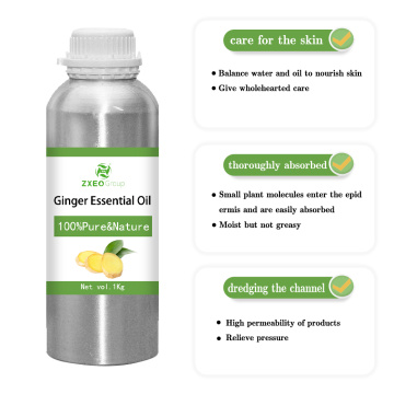 100% Pure Ginger Essential Oil Pure Natural Premium For Massage Large Bottle With Dropper Hair Regrowth Hair Loss Treatment