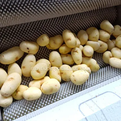 Sesame Tahini and Halva Production Line: Automatic Cassava and Sesame Seed Peeling Machine