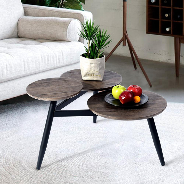 Coffee Table (3)