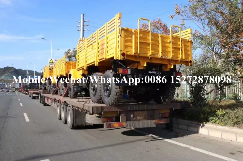 Desert Off Road 4x4 6x6 Military Army Truck (11)