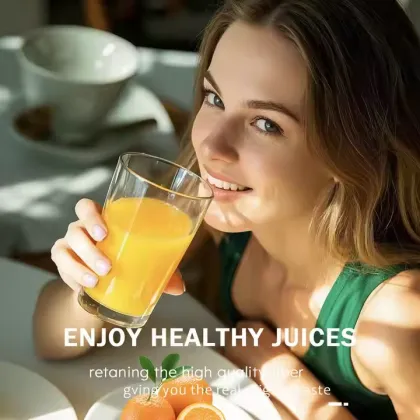 Multifunctional portable electric juicer