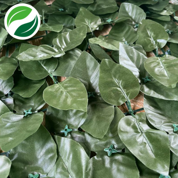 Spliced base plate peach leaves