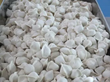 meat ball/ dumpling/ Fronzen food automatic packing machinery