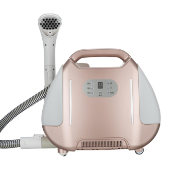 Portable Handheld Steamer for Sofa, Carpet, and Vacuum Cleaning - Dry and Wet Steam Cleaner
