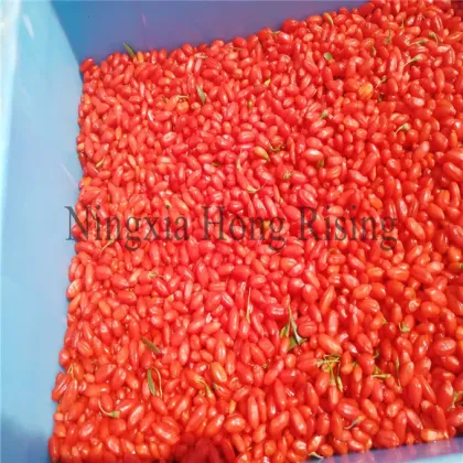 Wild Organic tibetan goji berries