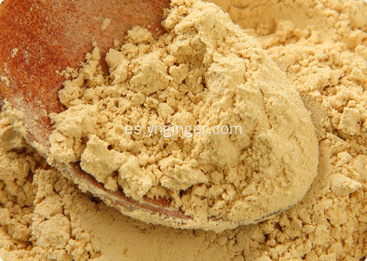 Polvo de jengibre molido tostado Good Benefit World Spice