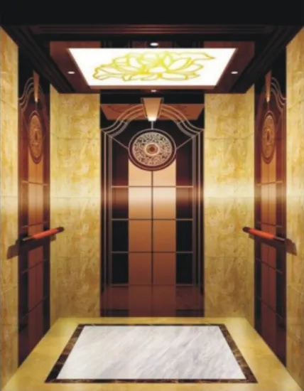 Good Quality Passenger Lift 1000kg