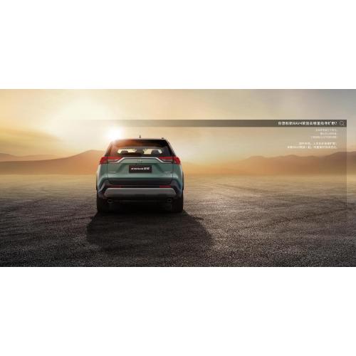 Carora RAV4 2.0 L gasoline urban