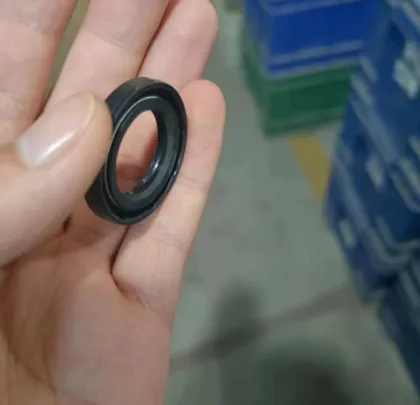 Customized TC FKM NBR Rubber Oil Seal Solutions for Various Applications