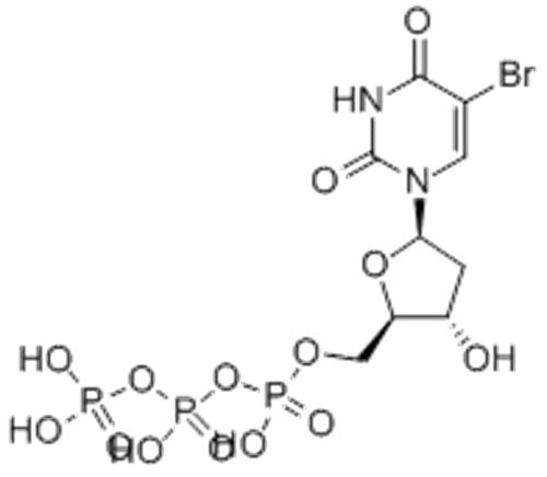 5-BROMO-2'-DEOXYURIDINE 5'-TRIPHOSPHATE SODIUM SALT CAS 102212-99-7