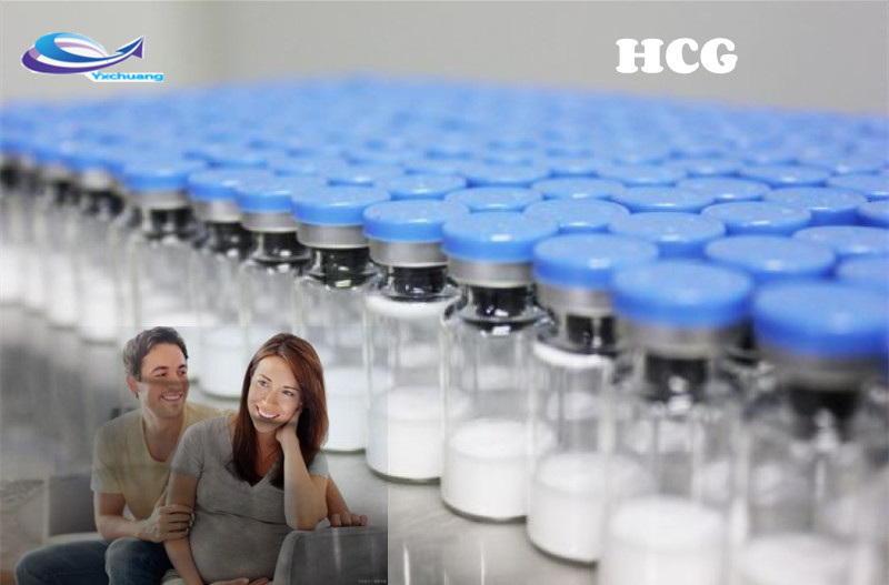 HCG injections 5000iu/vial hcg 10000ui