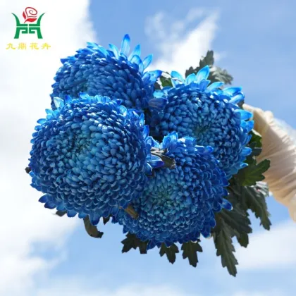 Peony Chrysanthemum Rain Ink Blue