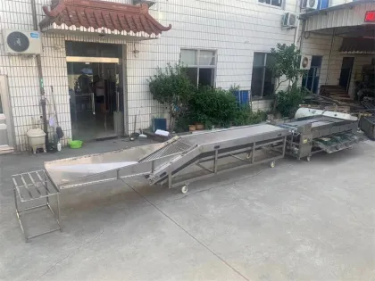 Industrial Fresh Fruits Processing Machinery: Auto Industrial Cherries Sizing, Sorter, Grader