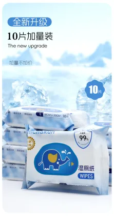 Disposable Toilet Wet Wipes