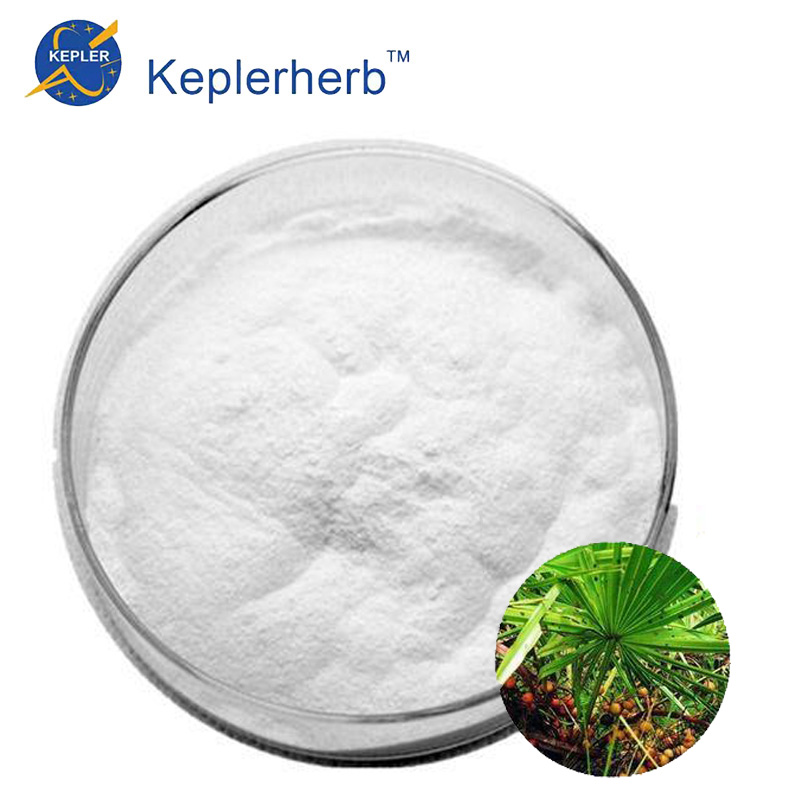 Saw Palmetto Extract Powder