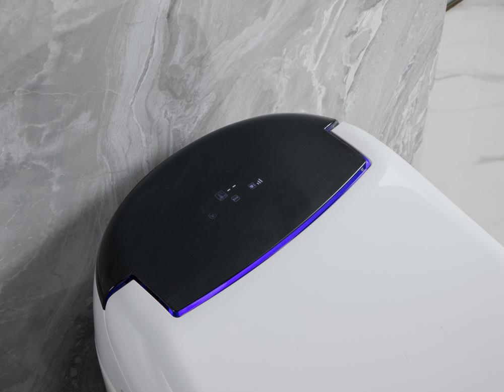 2207 9smart Toilet