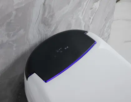 Bathroom Intelligent Toilet Electric Automatic Toilet
