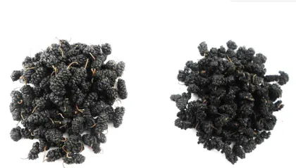 Premium Mulberry Belt Dryer