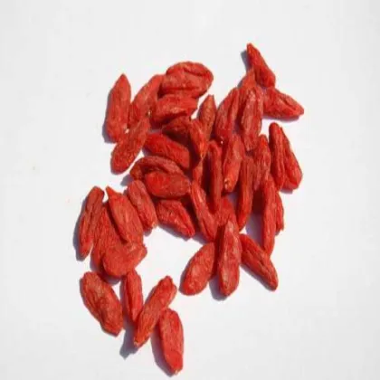 goji berries fruit Organic Goji Berries Direct Supply