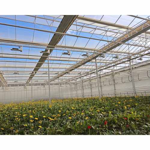 Floral Planting Multi Type Agricultural Planting Greenhouse